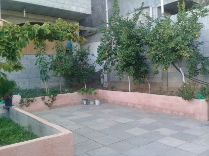 A small garden in one of Gaza's houses in the Jabalia camp.